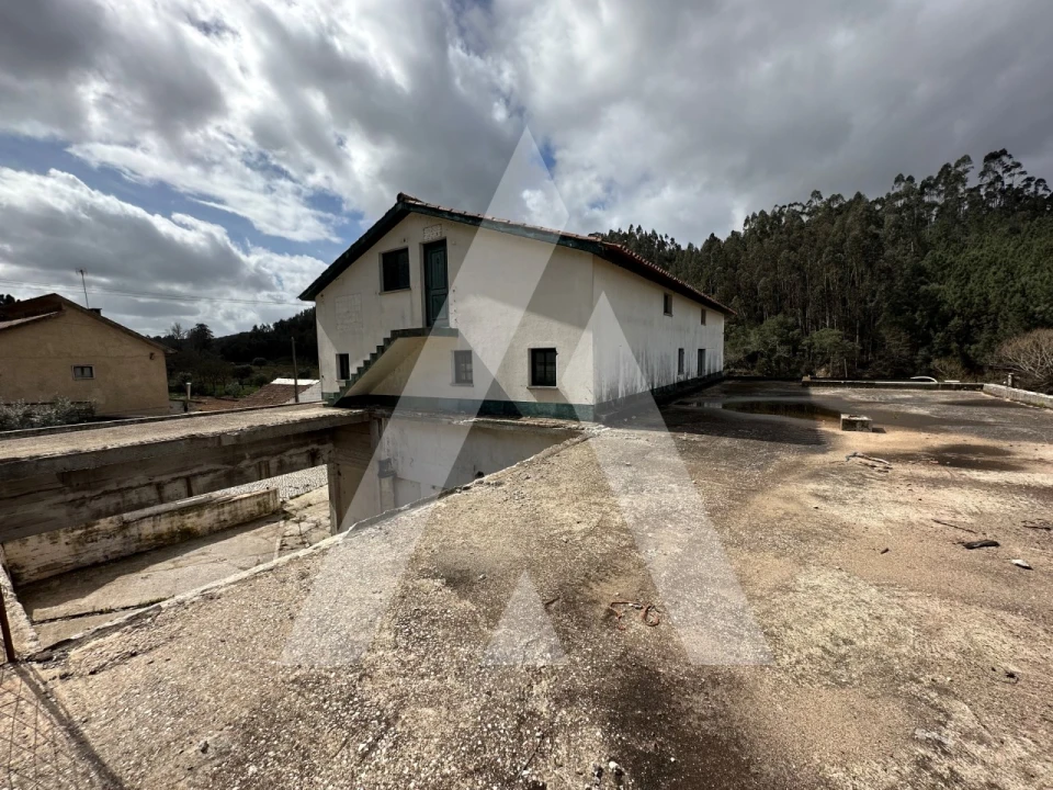 Armazém para Venda em Pussos São Pedro Foto 3