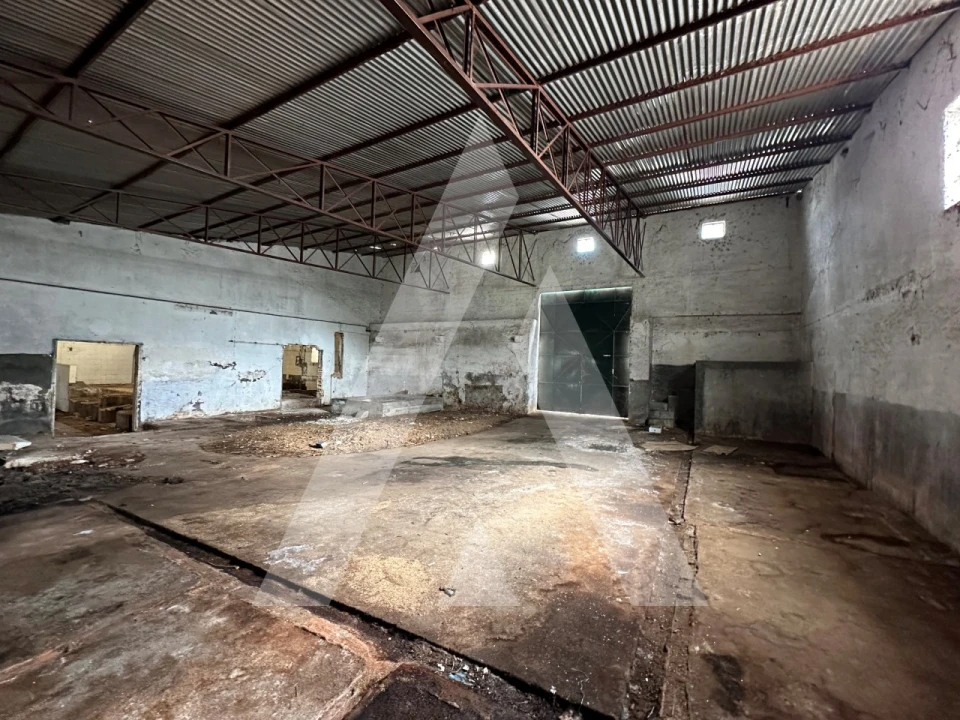 Armazém para Venda em Pussos São Pedro Foto 10