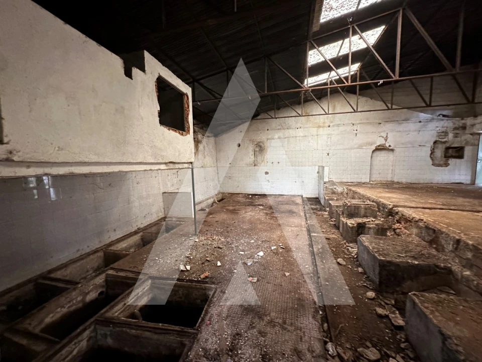 Armazém para Venda em Pussos São Pedro Foto 11