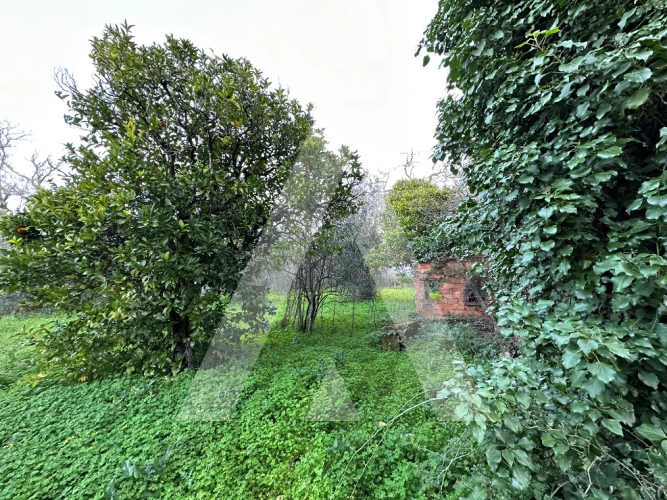 Terreno para Venda em Alvaiázere Foto 15