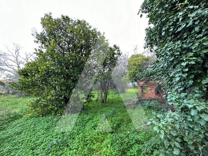 Terreno para Venda em Alvaiázere Foto 16