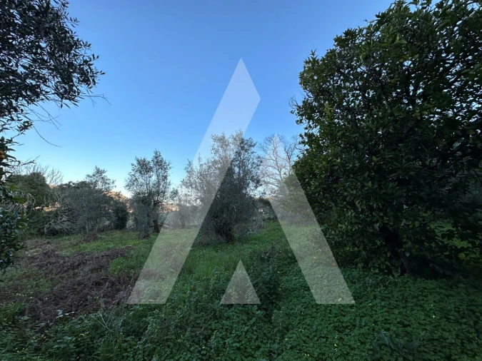 Terreno para Venda em Alvaiázere Foto 17