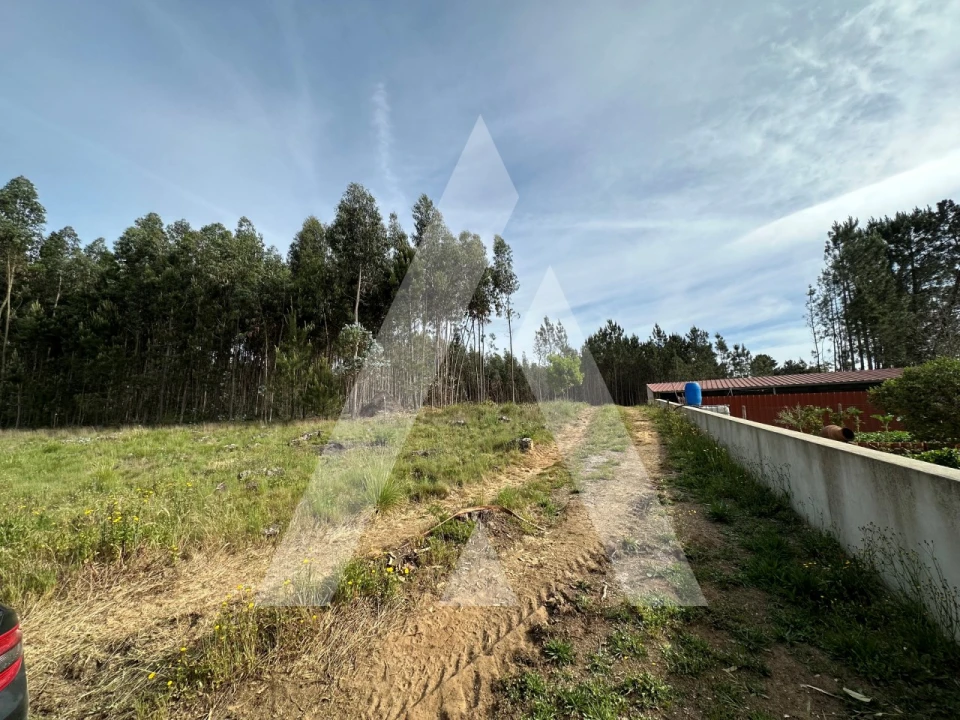 Terreno para Venda em Maçãs de D. Maria Foto 7