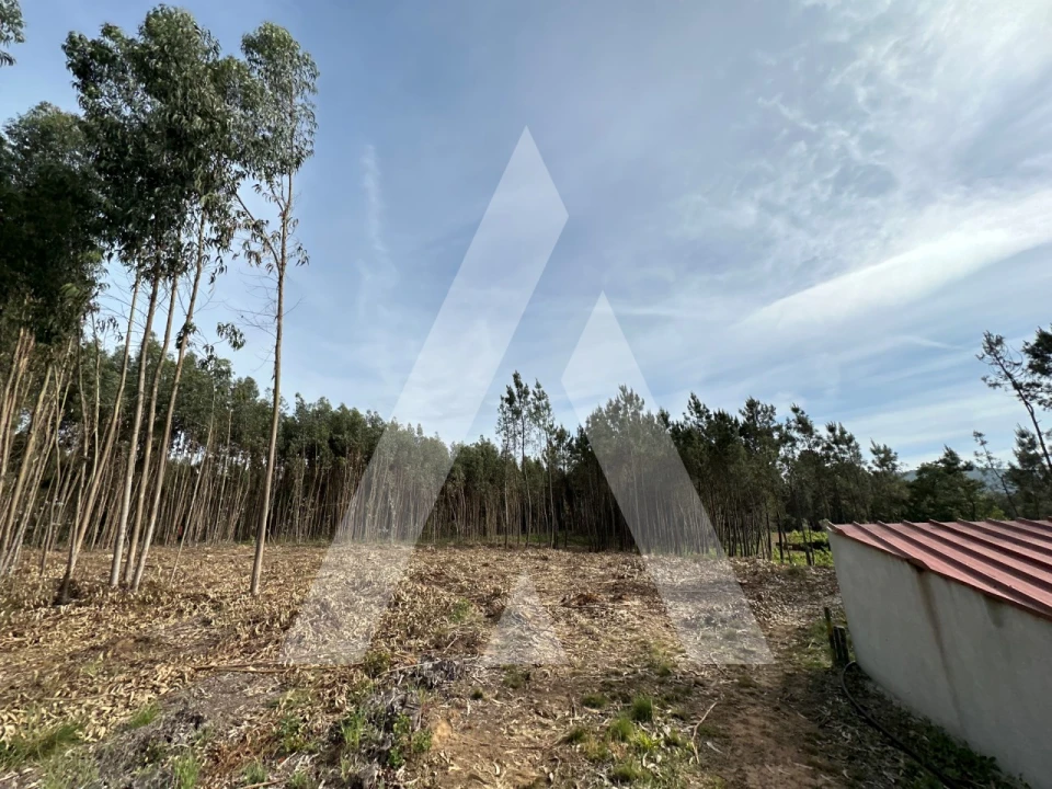 Terreno para Venda em Maçãs de D. Maria Foto 13