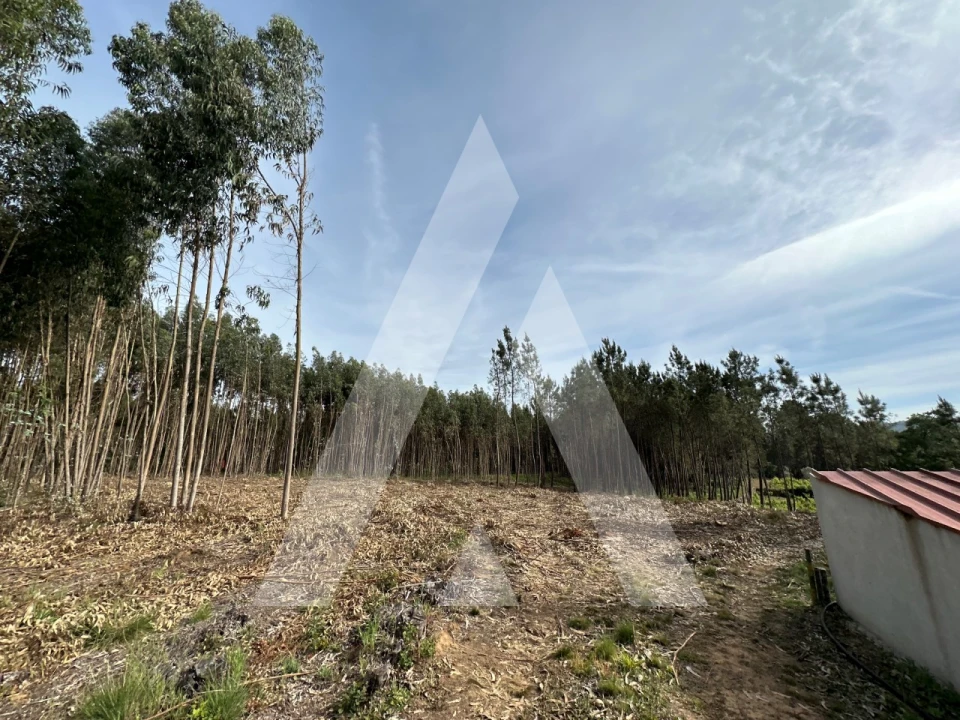 Terreno para Venda em Maçãs de D. Maria Foto 16