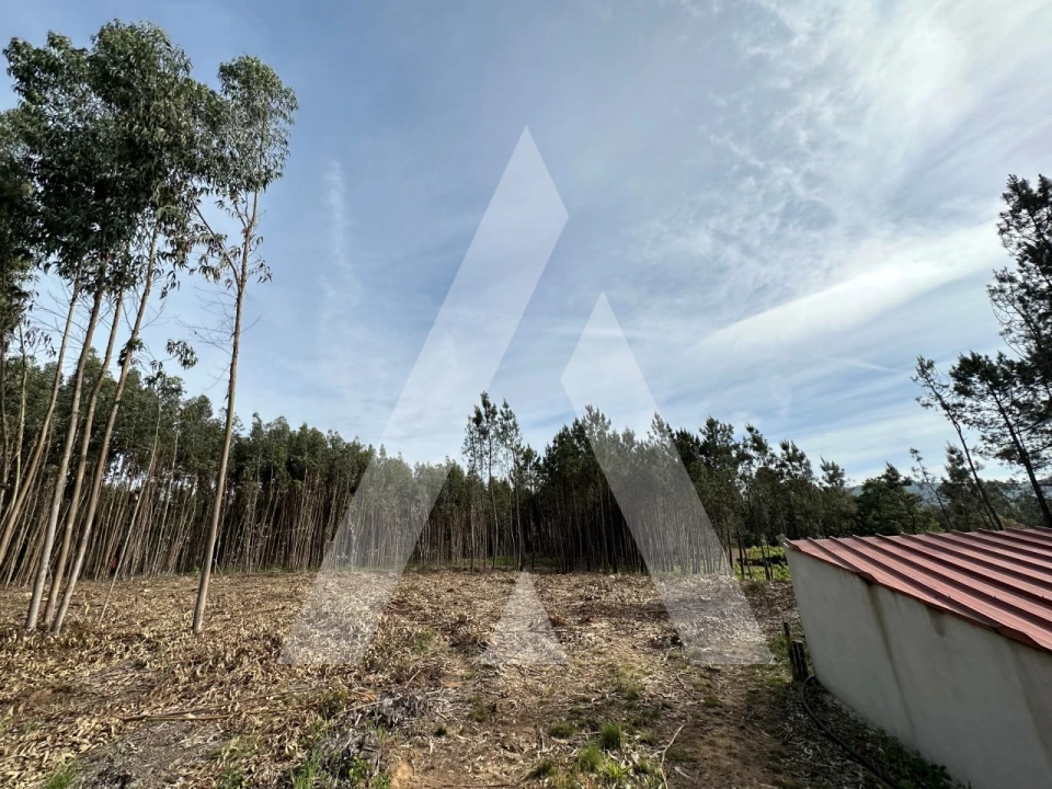 Terreno para Venda em Maçãs de D. Maria Foto 20