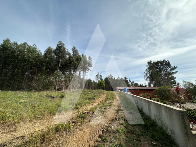Terreno para Venda em Maçãs de D. Maria Foto 2