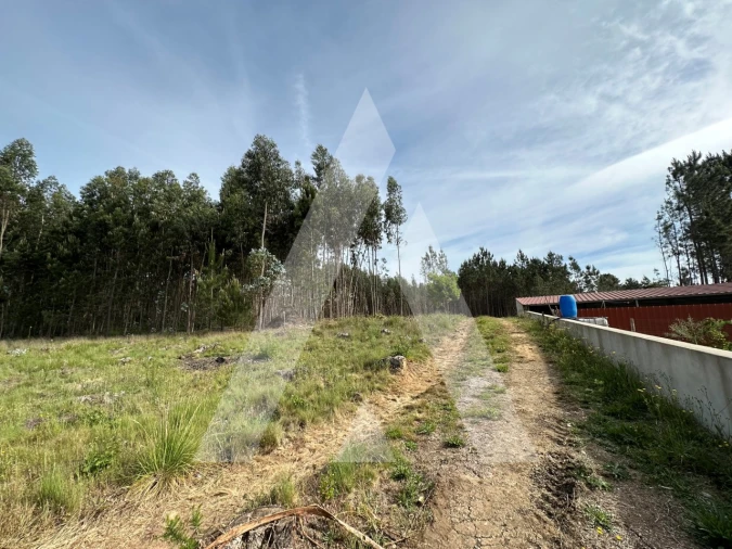 Terreno para Venda em Maçãs de D. Maria Foto 4