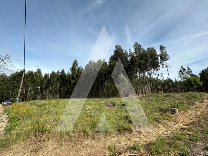 Terreno para Venda em Maçãs de D. Maria Foto 5