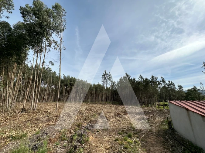 Terreno para Venda em Maçãs de D. Maria Foto 15