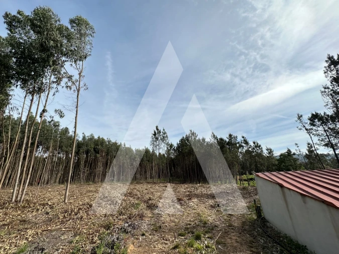 Terreno para Venda em Maçãs de D. Maria Foto 18
