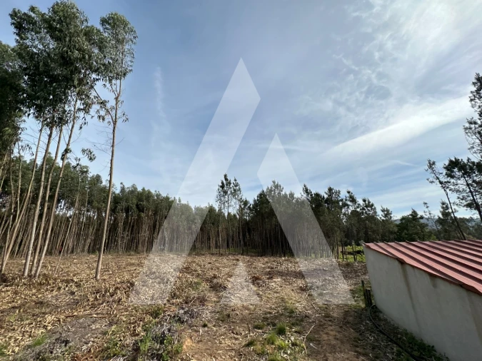 Terreno para Venda em Maçãs de D. Maria Foto 21