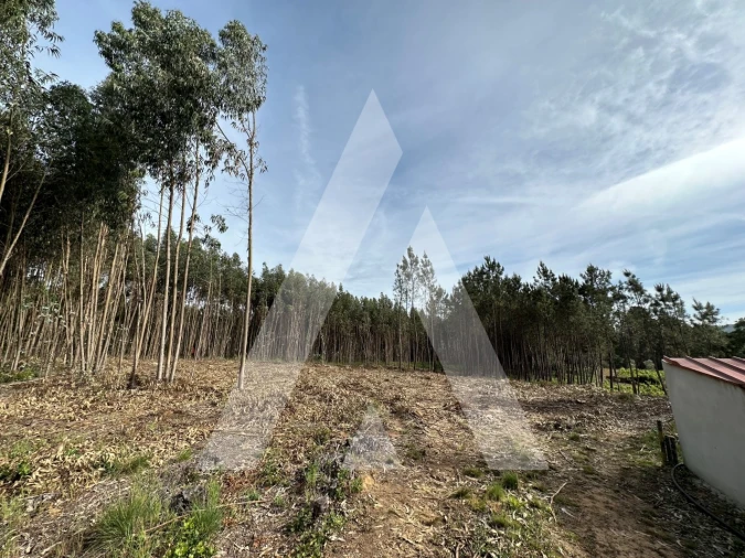 Terreno para Venda em Maçãs de D. Maria Foto 29