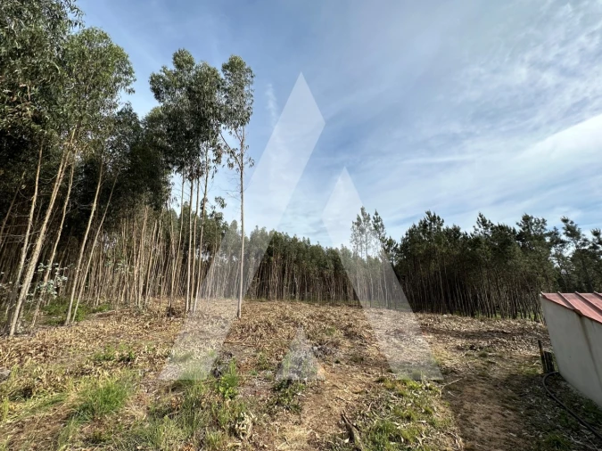 Terreno para Venda em Maçãs de D. Maria Foto 42