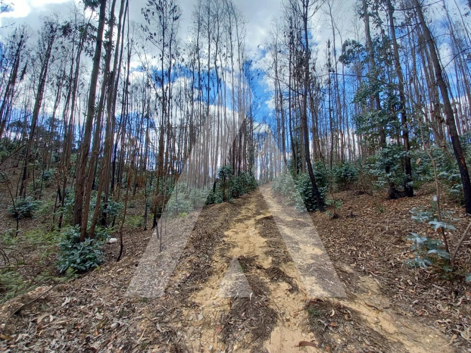 Terreno para Venda em Espite Foto 3