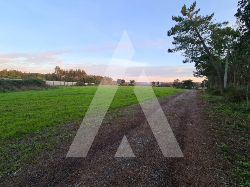 Quinta T5 para Venda em Souto da Carpalhosa e Ortigosa Foto 3