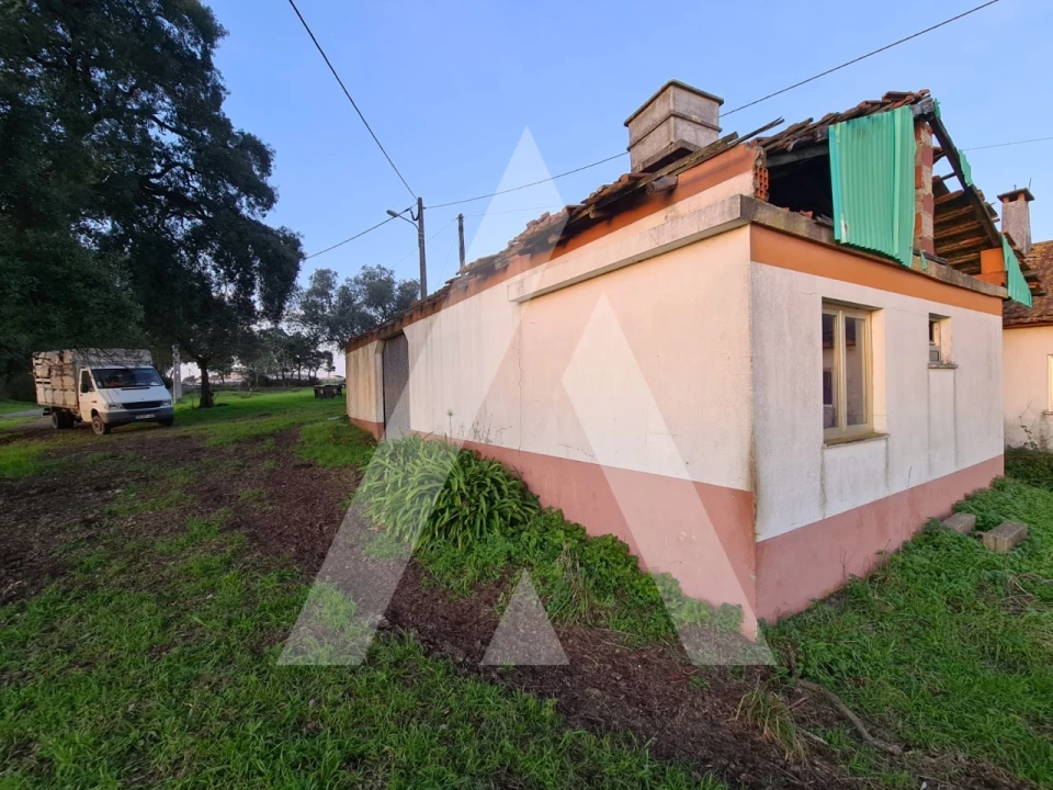 Quinta T5 para Venda em Souto da Carpalhosa e Ortigosa Foto 5