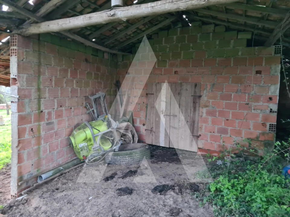 Quinta T5 para Venda em Souto da Carpalhosa e Ortigosa Foto 9