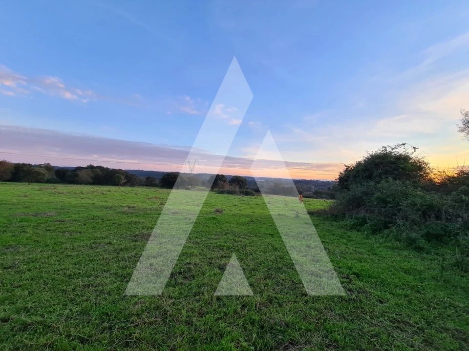 Quinta T5 para Venda em Souto da Carpalhosa e Ortigosa Foto 18