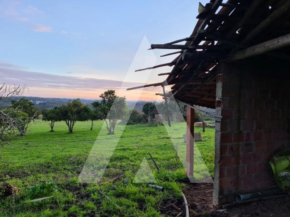 Quinta T5 para Venda em Souto da Carpalhosa e Ortigosa Foto 24
