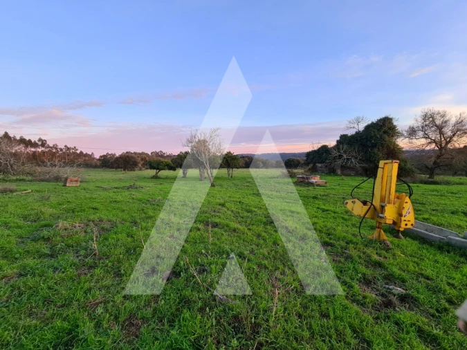 Quinta T5 para Venda em Souto da Carpalhosa e Ortigosa Foto 2