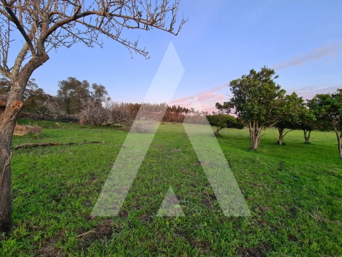 Quinta T5 para Venda em Souto da Carpalhosa e Ortigosa Foto 10