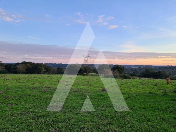 Quinta T5 para Venda em Souto da Carpalhosa e Ortigosa Foto 22