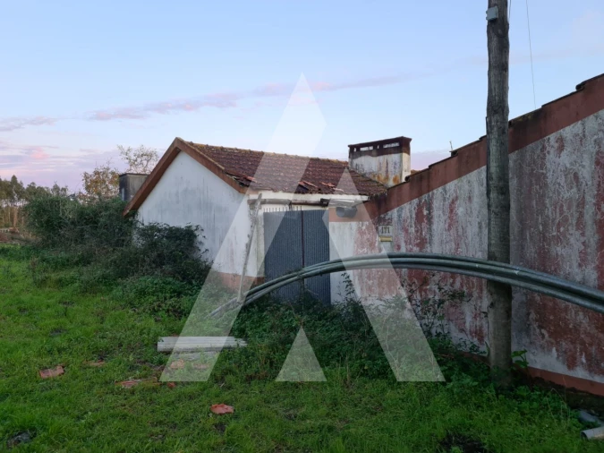 Quinta T5 para Venda em Souto da Carpalhosa e Ortigosa Foto 16