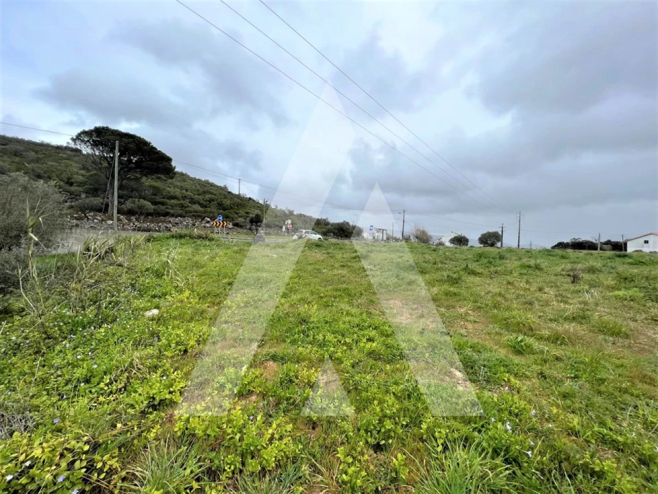 Terreno para Venda em Mira de Aire Foto 1