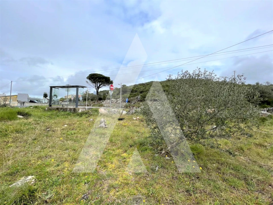 Terreno para Venda em Mira de Aire Foto 12