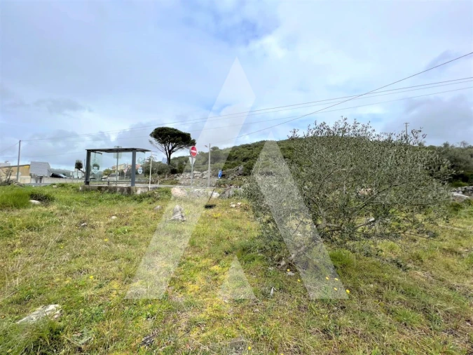 Terreno para Venda em Mira de Aire Foto 12