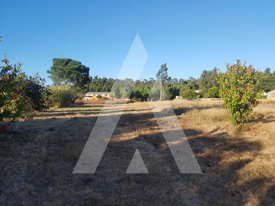 Terreno para Venda em Sangalhos Foto 13