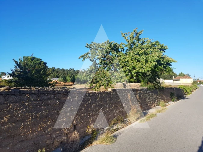 Terreno para Venda em Sangalhos Foto 12