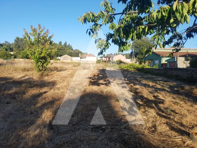 Terreno para Venda em Sangalhos Foto 15