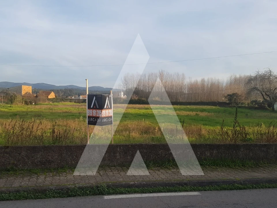 Terreno para Venda em Avelãs de Cima Foto 5