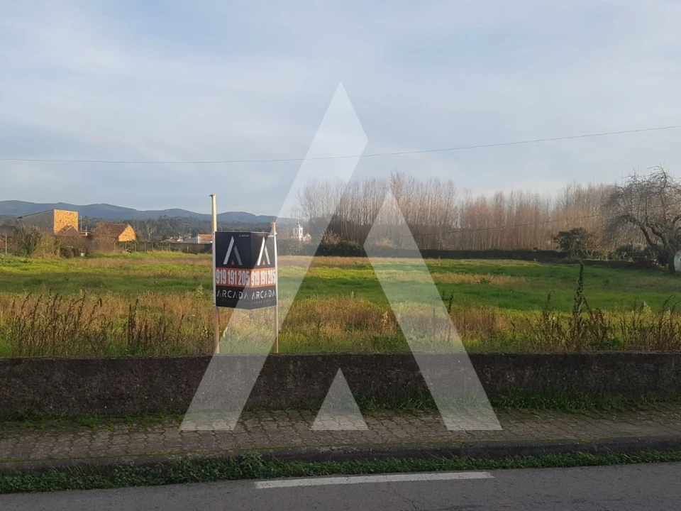 Terreno para Venda em Avelãs de Cima Foto 3