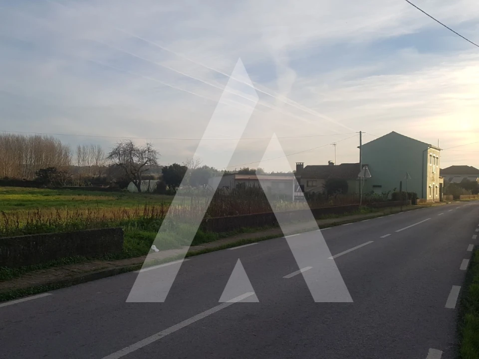 Terreno para Venda em Avelãs de Cima Foto 6