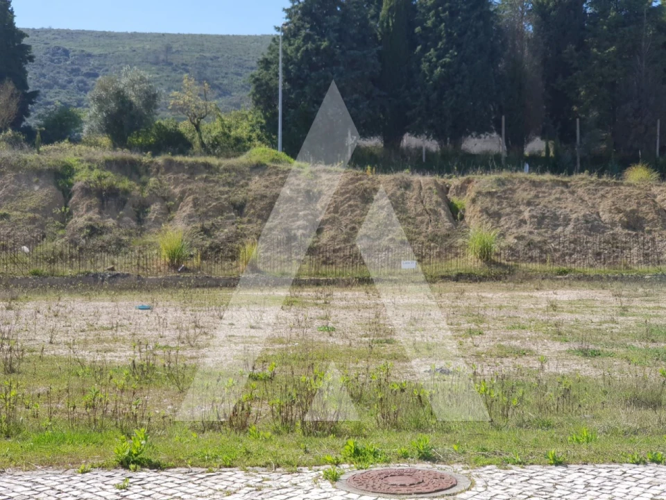 Terreno para Venda em Porto de Mós - São João Baptista e São Pedro Foto 11