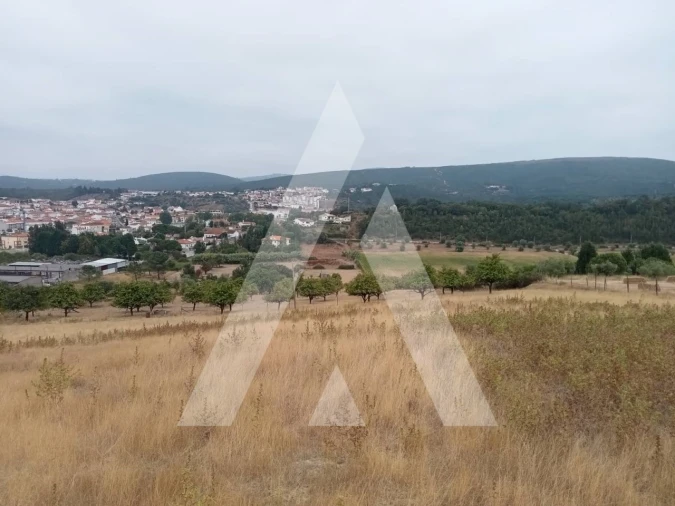 Terreno para Venda em Porto de Mós - São João Baptista e São Pedro Foto 3