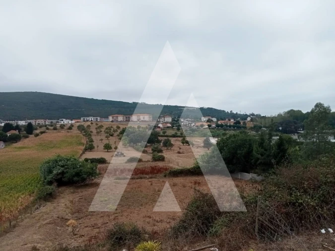 Terreno para Venda em Porto de Mós - São João Baptista e São Pedro Foto 16
