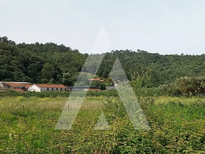 Moradia T3 para Venda em Maiorga Foto 15