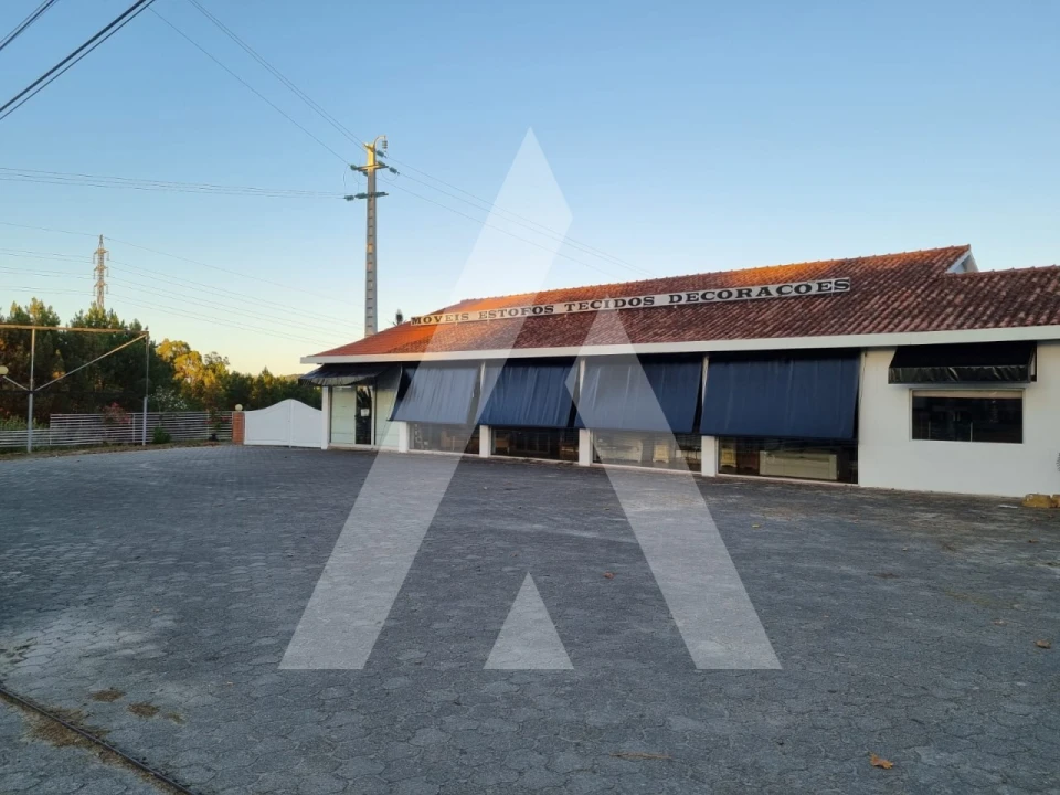 Armazém para Venda em Batalha Foto 6