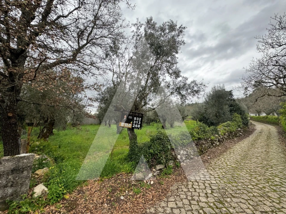 Terreno para Venda em Pussos São Pedro Foto 1