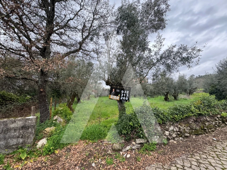 Terreno para Venda em Pussos São Pedro Foto 2