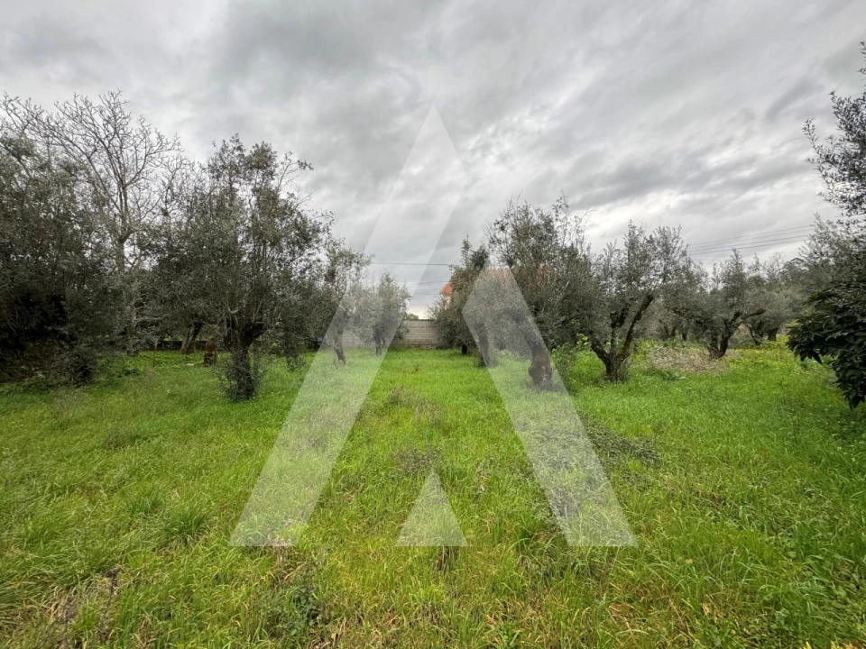 Terreno para Venda em Pussos São Pedro Foto 7