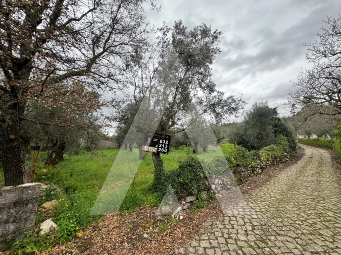 Terreno para Venda em Pussos São Pedro