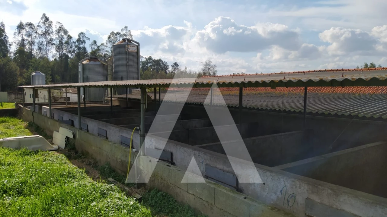 Quinta para Venda em Regueira de Pontes Foto 10