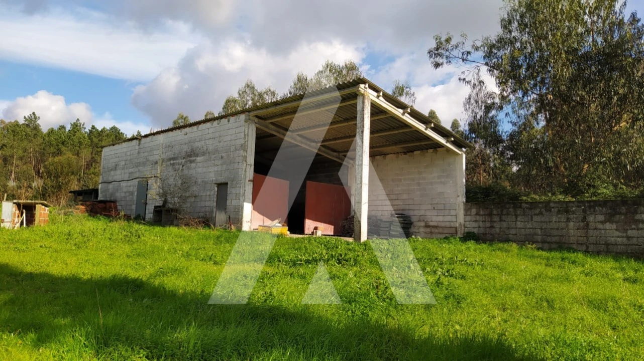 Quinta para Venda em Regueira de Pontes Foto 13