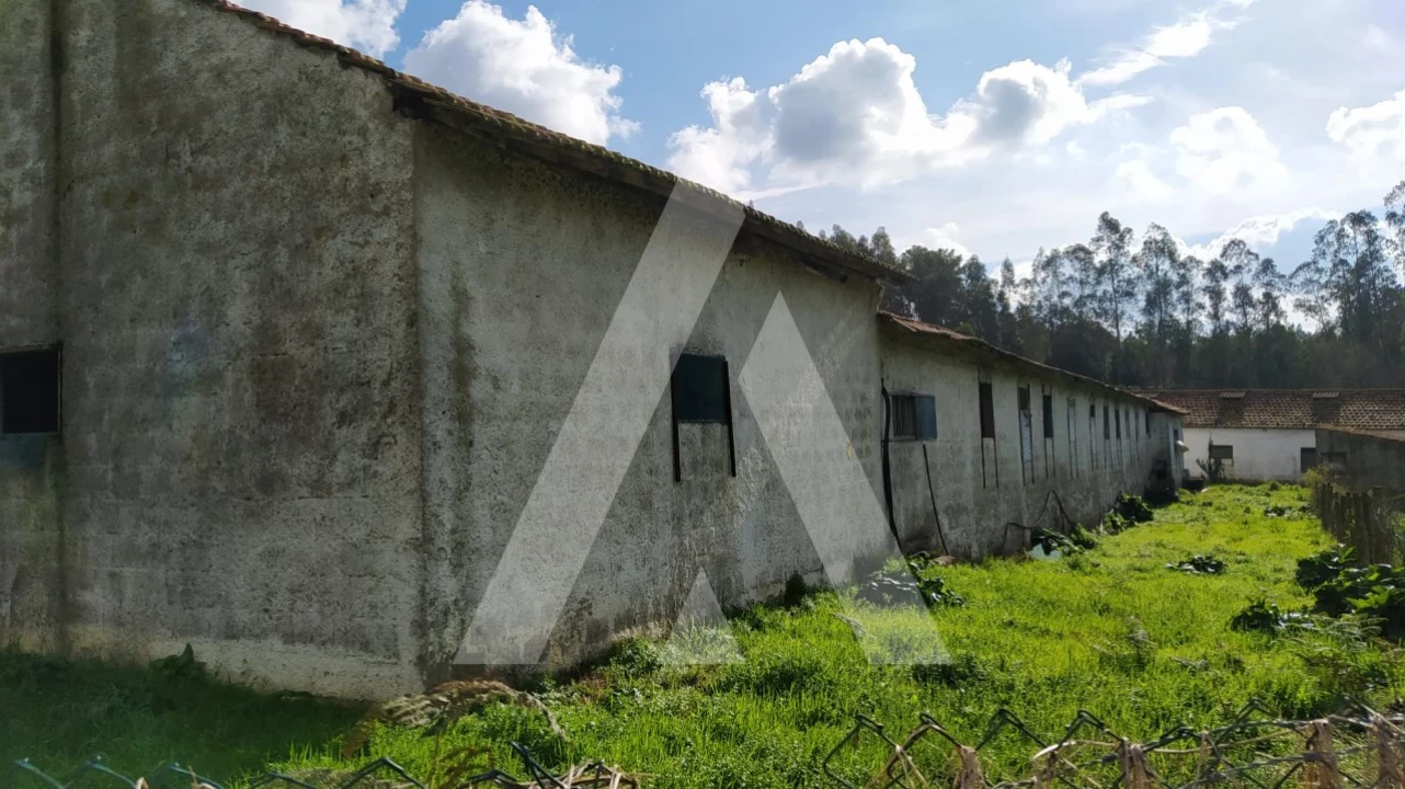 Quinta para Venda em Regueira de Pontes Foto 14