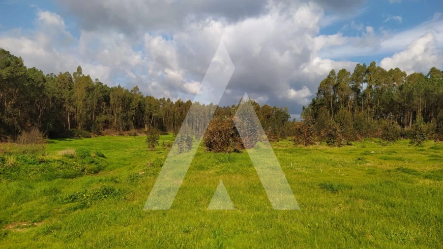 Quinta para Venda em Regueira de Pontes Foto 4